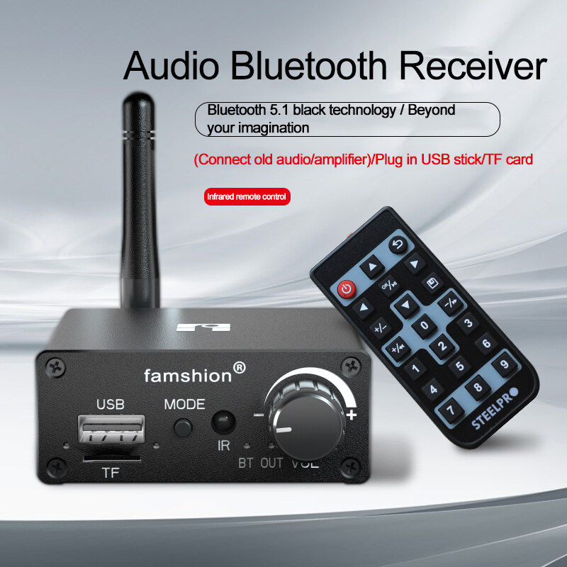 [Yarlung Life]Famshion D18 Bluetooth Receiver 5.1 Old Audio Box Power