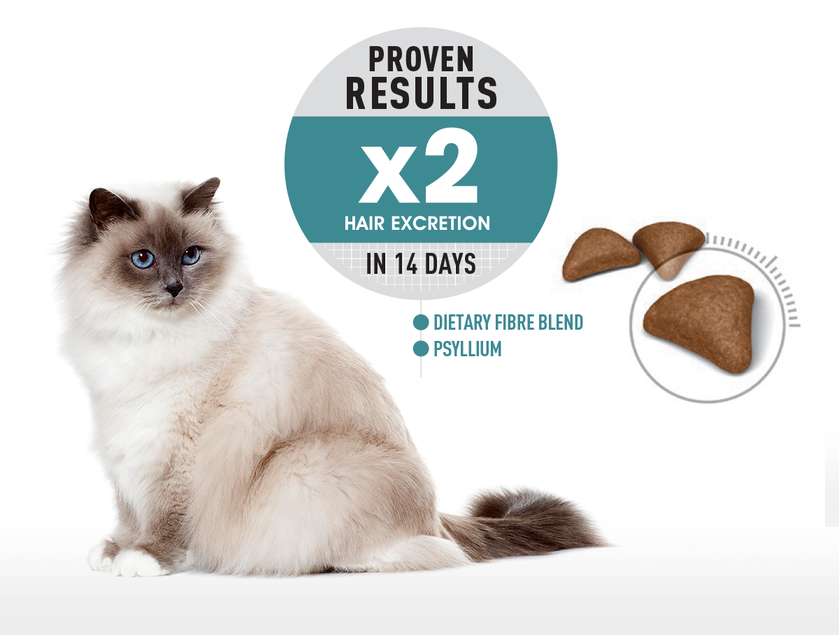 royal canin hairball dry food