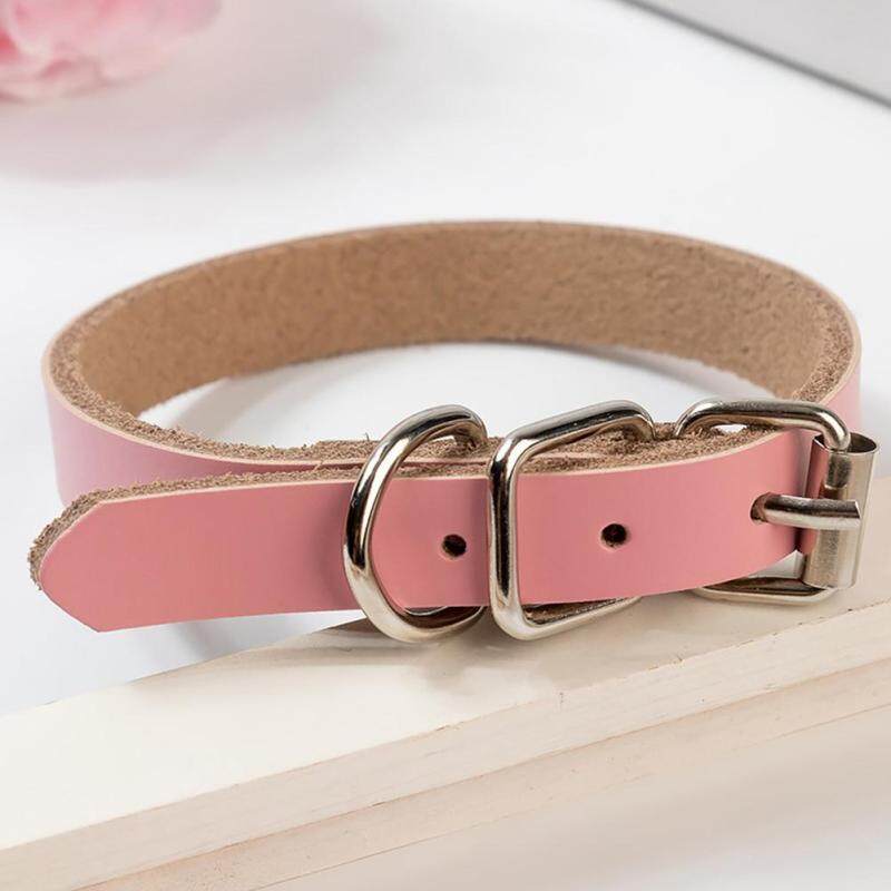 Bền Ngoài Trời Phụ Kiện Bao Da Có Thể Điều Chỉnh Cổ Chống Mất Cổ Cho Chó