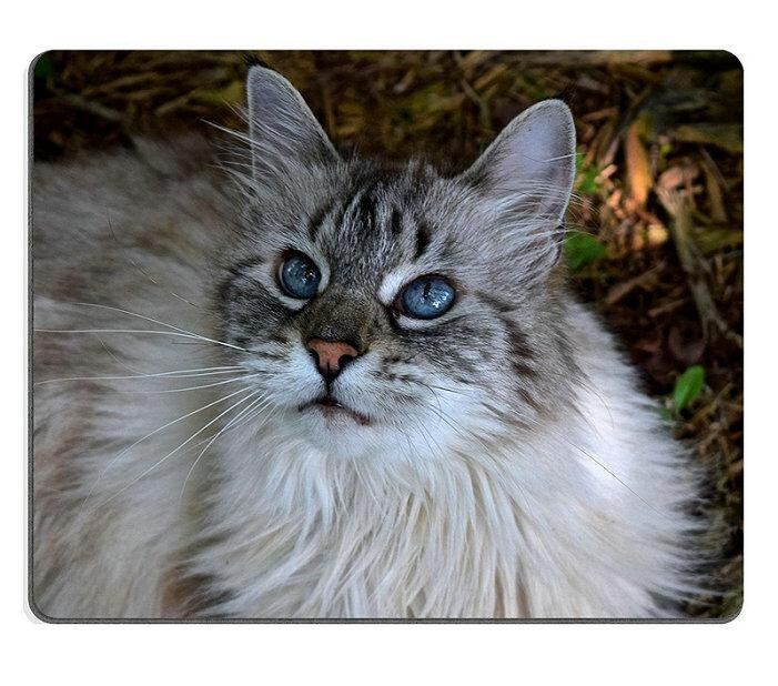 17P13183 Berkualitas Tinggi Kreativitas Mouse Pad Mouse Gaming Pad Sapphire Di Kolam Renang Di Juli Bahan Karet Alam (260*210*3 MM) -Intl