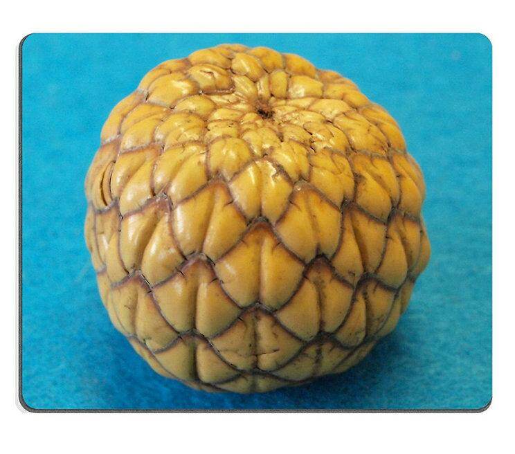 Harga Hbt Tapioca Pearl Bubble 500gr Terbaru - Wallpaperall