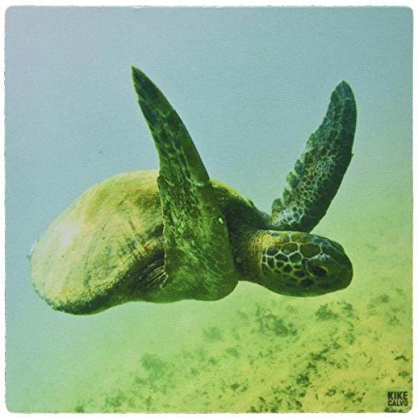 3 Drose LLC 8X8X0.25 Inci Mouse Alas, Pacific Hijau atau Hitam Kura-kura Laut, chelonia Mydas, Punta Cormorant Pulau Floreana Galapagos (Mp_10114_1)-Internasional
