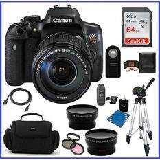 Canon EOS Rebel T6i DSLR Camera with EF-S 18-135mm f/3.5-5.6 IS STM Lens (USA) + 64GB SDXC Class 10 Memory Card + 59