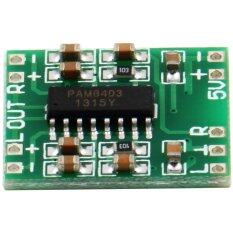 LCD TV Pam8403 Audio Modul DC 5 V Mini Kelas D Papan Penguat Digital