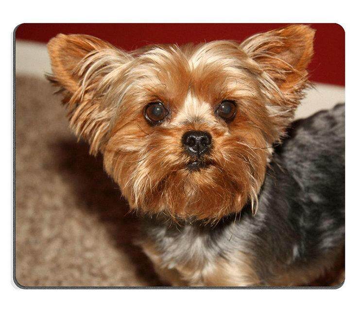 Sold by ELong station Mouse Pad Gaming Mouse pad Natural Rubber<br/>mouse mat Dylan s th birthday november Set of Natural Rubber<br/>Material M0A10190