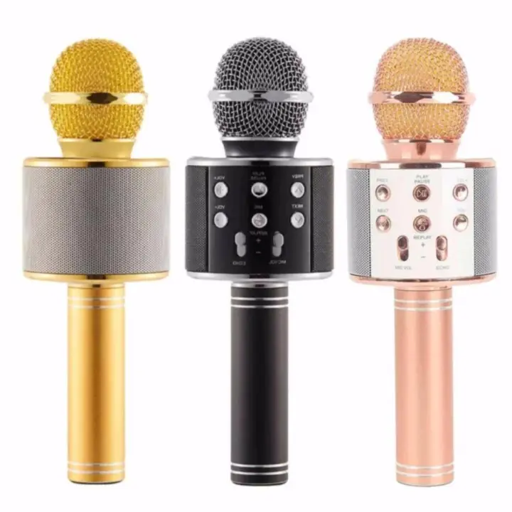 speaker with microphone for karaoke