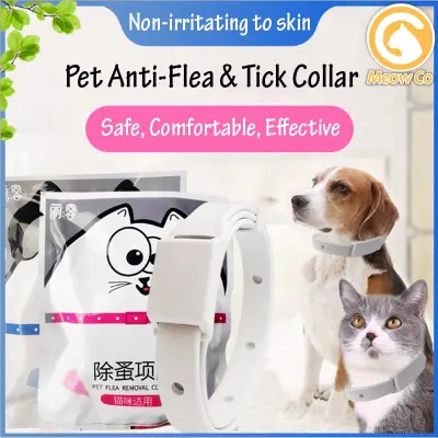 Pet Anti Flea Collar Flea Killer Kolar Kucing Kutu