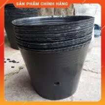 Bầu ươm cây giống kt 18x16cm