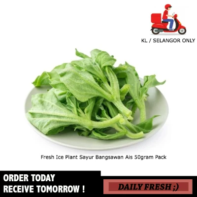 Fresh Ice Plant Sayur Ais 50gram Pack Fresh Vegetables