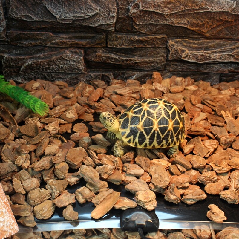 Heat Mat Reptile Brooder Incubator Pet Heating Pad Brew EU Plug 7W 14W 20W 28W