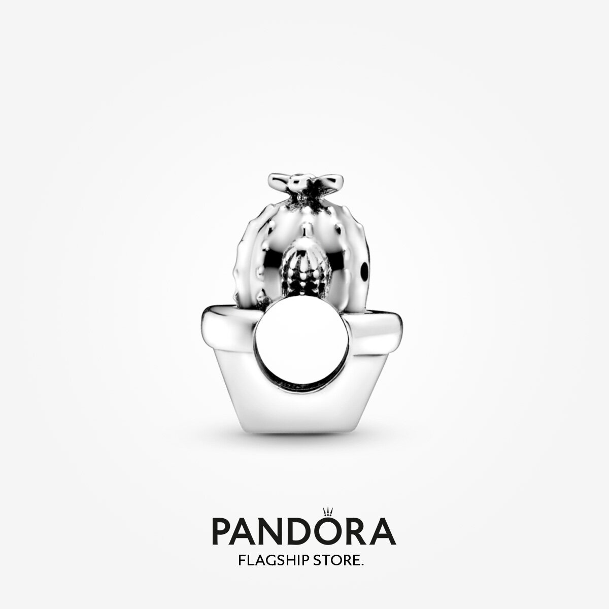 Pandora free charm
