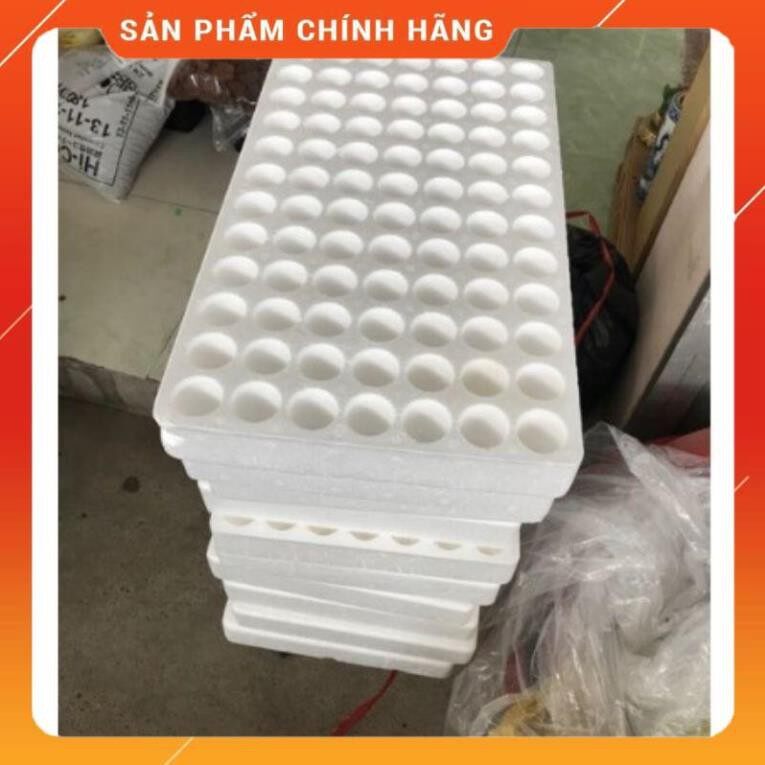 Khay xốp ươm hạt 84 lỗ
