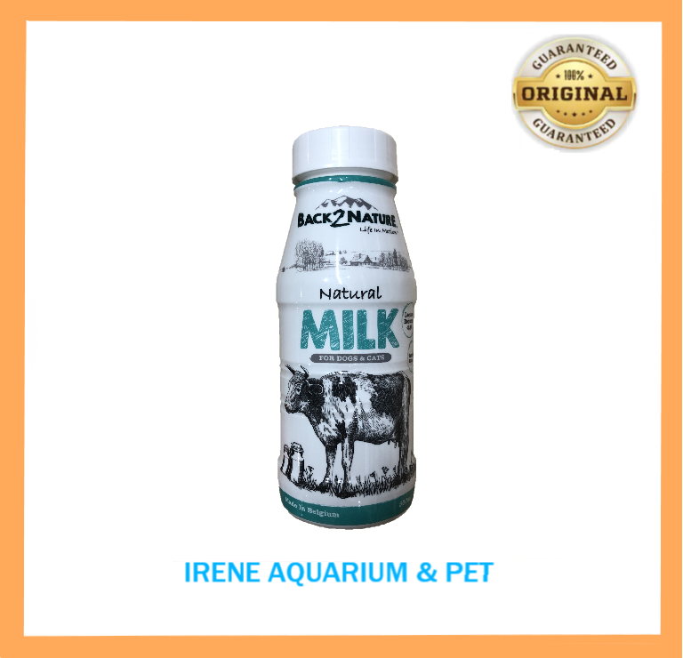 Can Milk Upset A Dogs Stomach