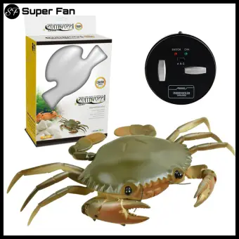 robot insects toys