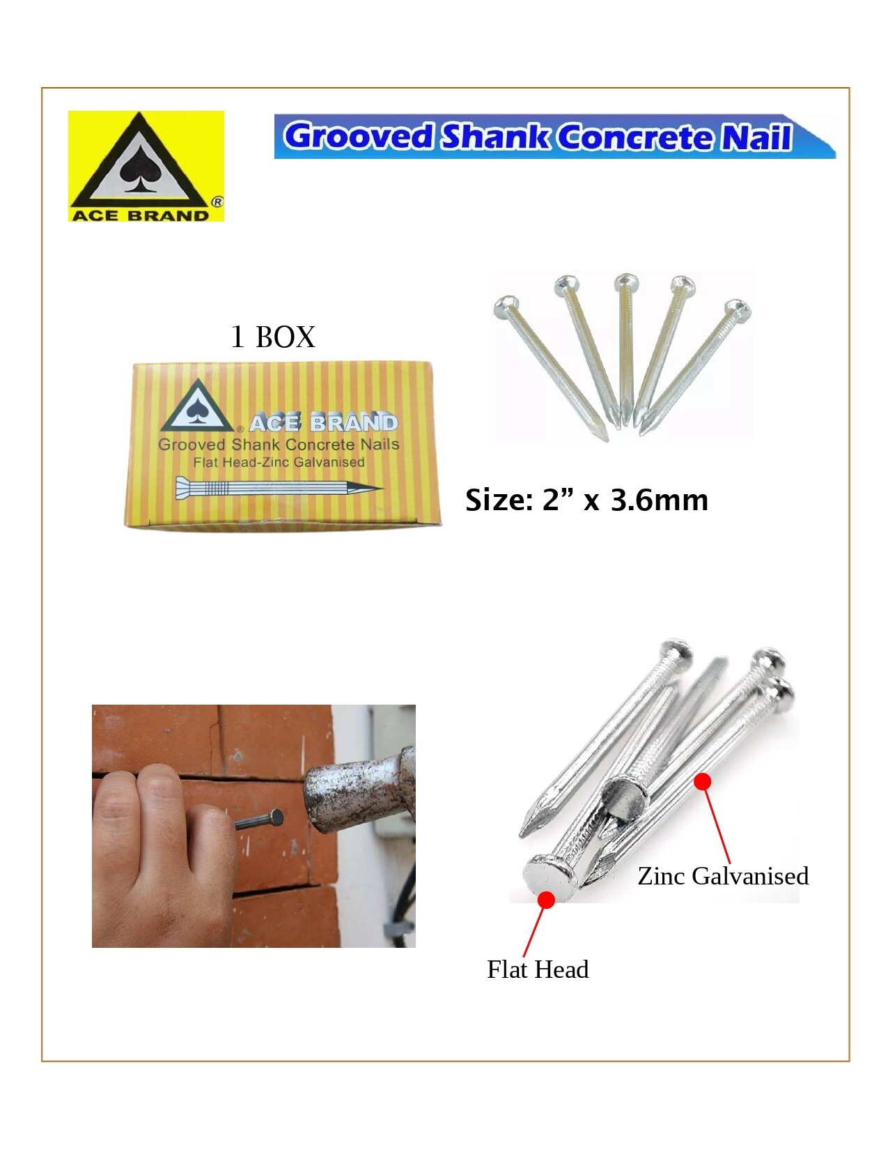 ACE BRAND Grooved Shank Concrete Nails/ Paku Simen Konkrit - 2 Inch (1 ...