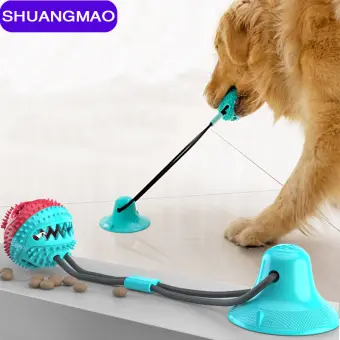 lazada dog toys