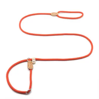 slip collar leash