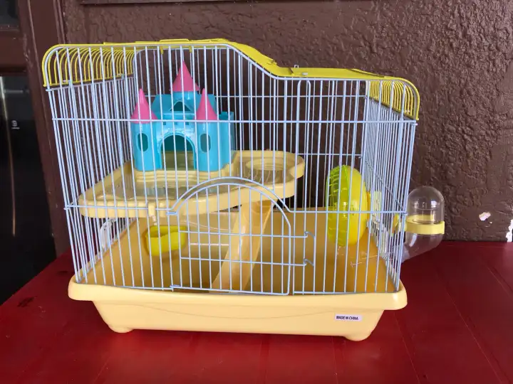 roborovski hamster habitat