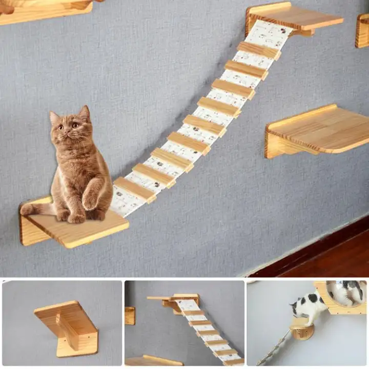 cat wall ladder