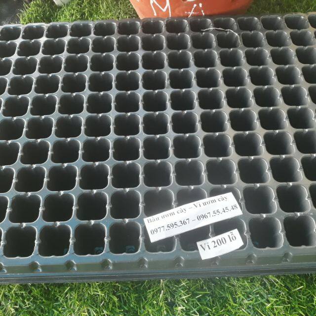 10 khay ươm hạt 200 lỗ
