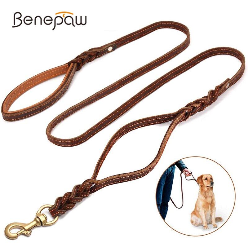 dog leash training