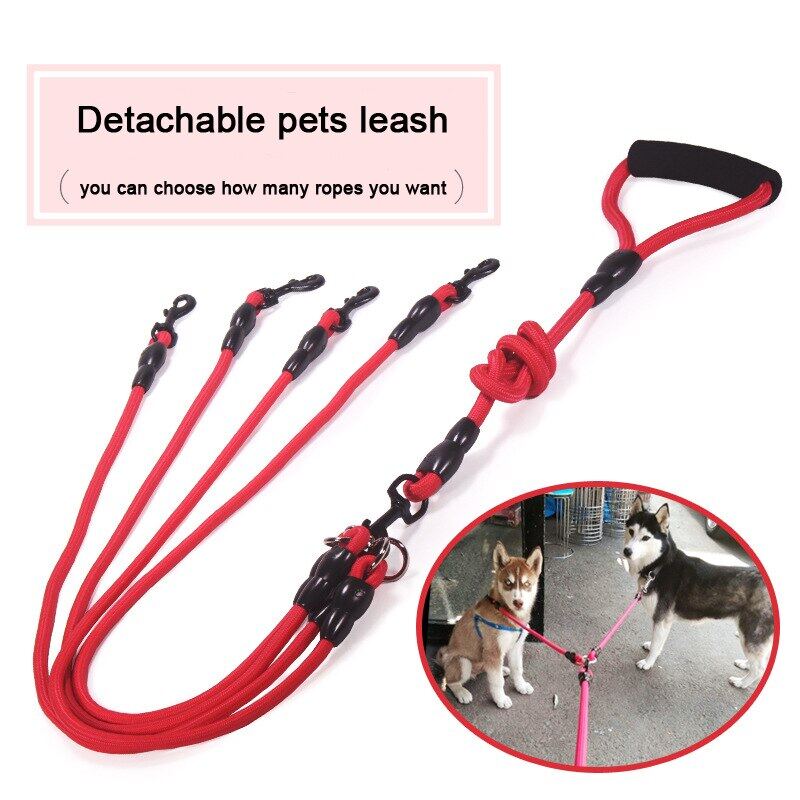 double leash harness for dogs