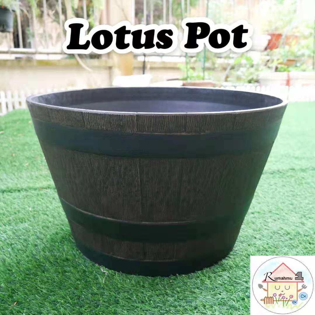 [𝗥𝗲𝗮𝗱𝘆 𝗦𝘁𝗼𝗰𝗸] BIG LIGHT LOTUS FLOWER POT WATER LILY NO HOLE/PASU RINGAN ...