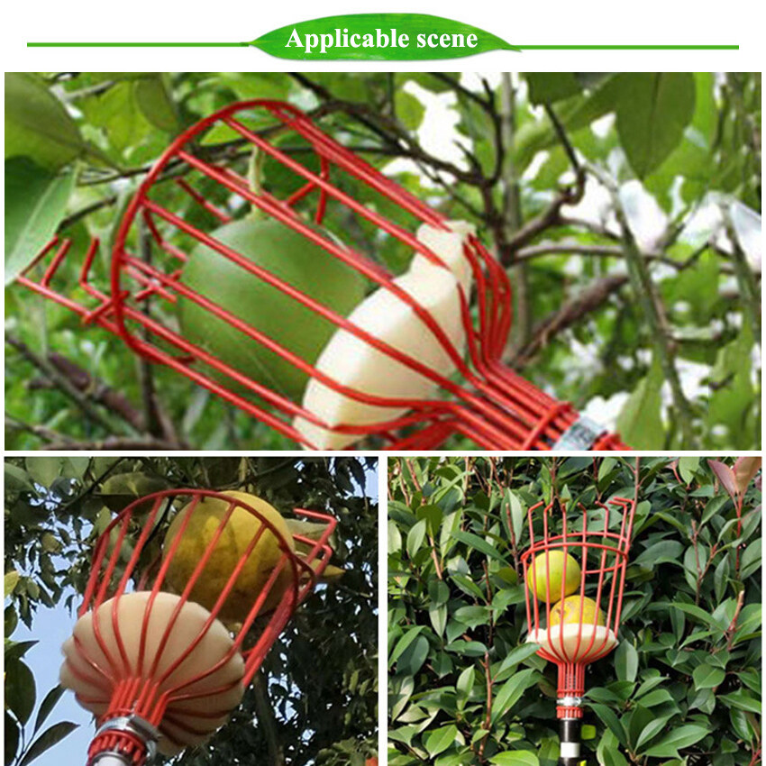 Công Cụ Hái Trái Cây Công Cụ Hái Cây Với Giỏ Xoắn Cây Trái Cây Công Cụ Thu Hoạch Dụng Cụ Làm Vườn