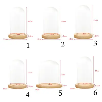 Crafts Creation Decorative Clear Glass Cloche Bell Jar Display Case with LED Wooden Base