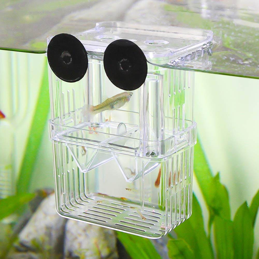 HATELI Hộp Nuôi Cá Bể Cá Hộp Nuôi Cách Ly Cá Bằng Nhựa Hộp Ấp Cho Cá Con Tôm Cá Hề Guppy