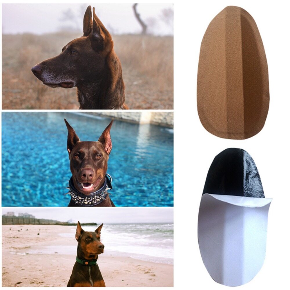 DFSID Self-adhesive Support Doberman Pinscher Dog Correct Ear Erector Dog Supplies Dog Ear Stand Up Stickers Dog Ear Erector Ear Care Tools