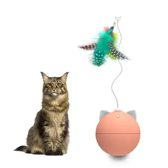 cat toys lazada