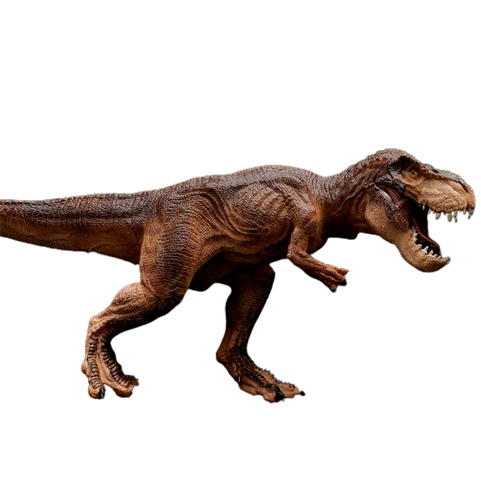 ASTELLA Dinosaur Model Cognitive Ability Burrs-free Smell-less Party Supplies Dinosaur Toys for Children Solid Collectable
