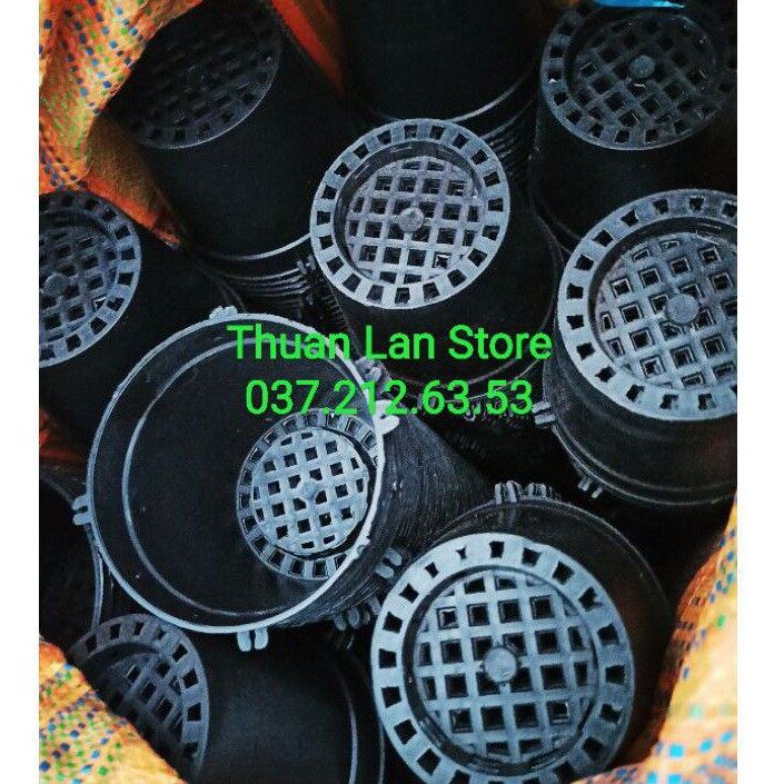 Set 10c chậu nhựa đen trồng lan f10