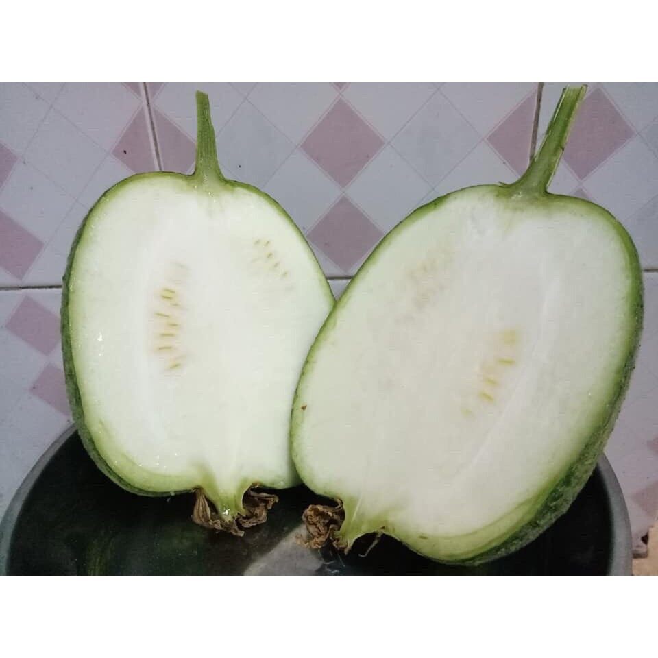 Hạt giống mướp táo Đài Loan 5 hạt