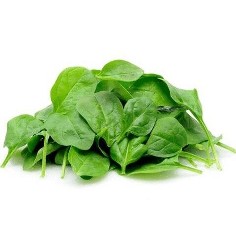 Hạt giống rau mồng tơi lá to 20 gr