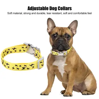 dog collar shop near me