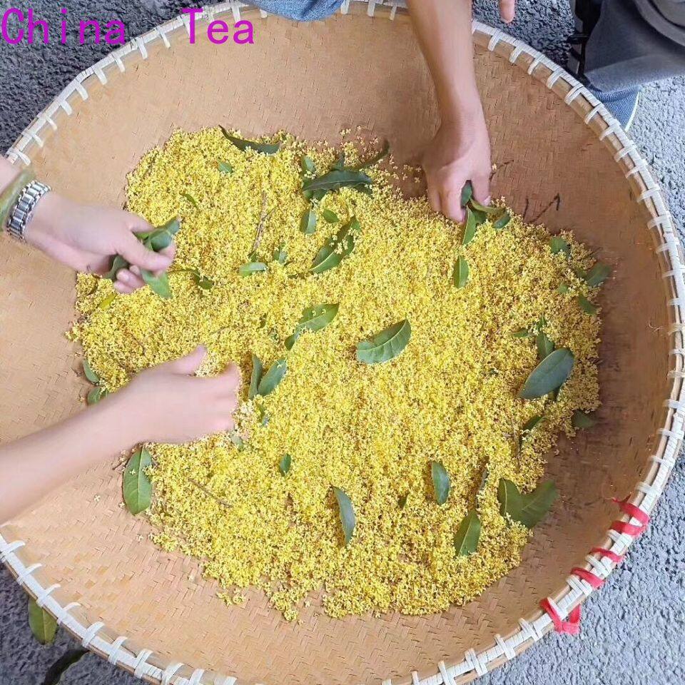 [Chất Lượng Cao, Giao Hàng Nhanh] Trà Trung Quốc Trà Xanh Osmanthus Longjing 25g罐装