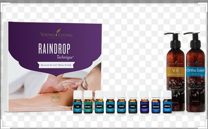 YL Young Living Essential Oil Kit Raindrop Technique - Lazada | Lazada