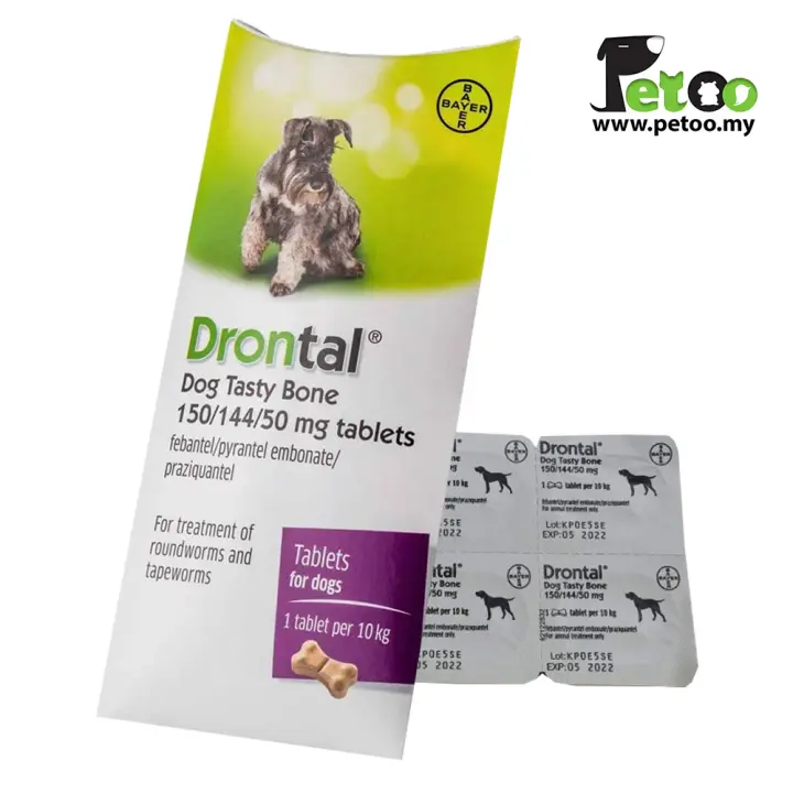bayer drontal dog