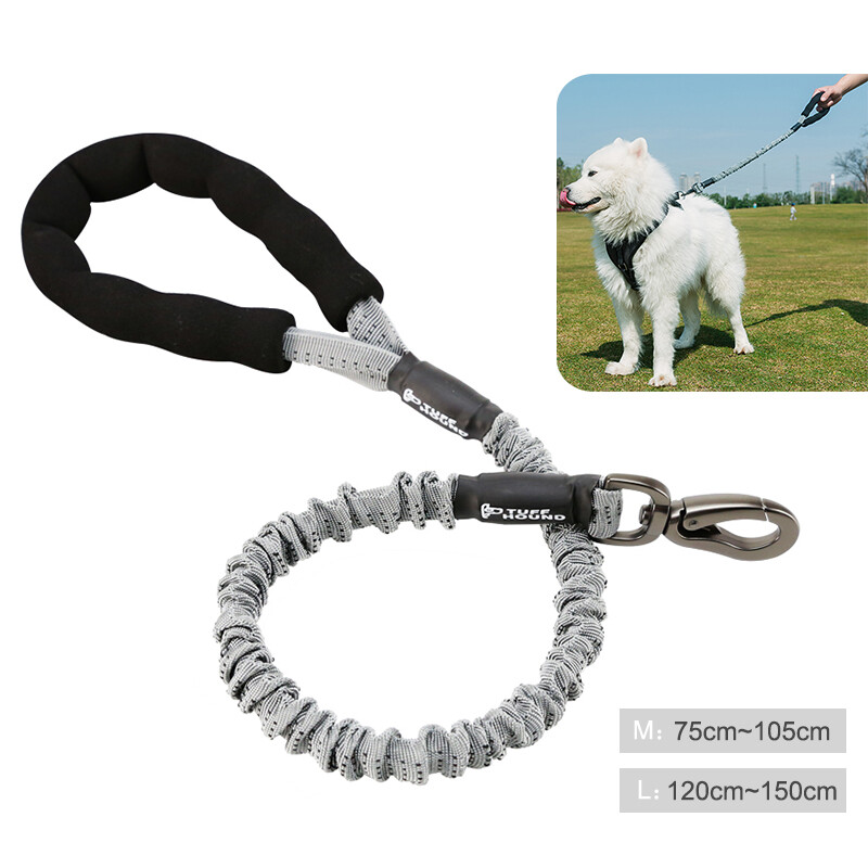 Dây Xích Chó Đàn Hồi Dây Nylon Kéo Dài Cho Chó Dây Dắt Chó Chạy Bộ Có Thể Kéo Dài Dây Xích Thú Cưng Linh Hoạt Cho Trung Bình Chó Lớn