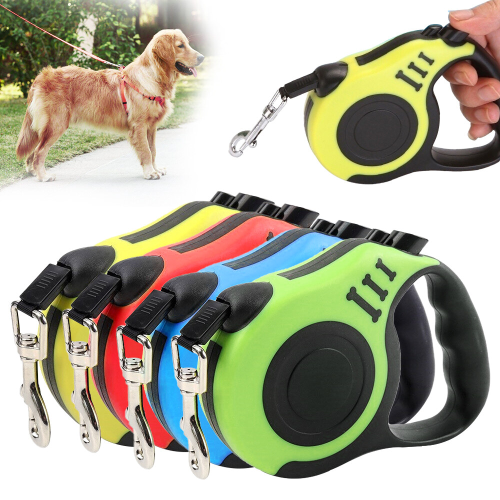 long backyard dog leash