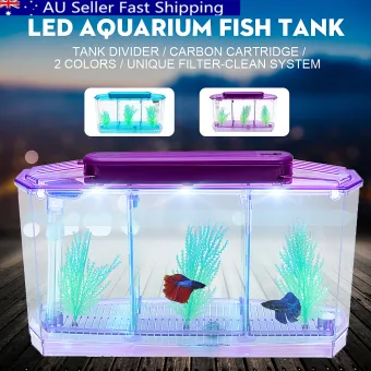 aquarium mini lazada