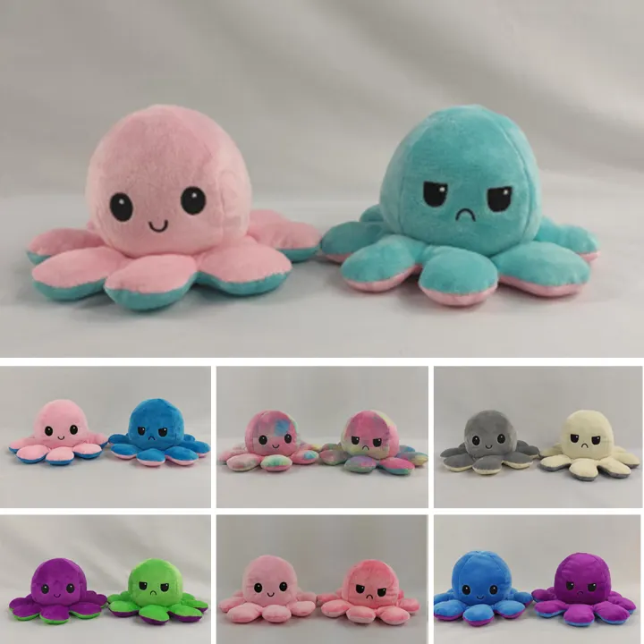teeturtle octopus