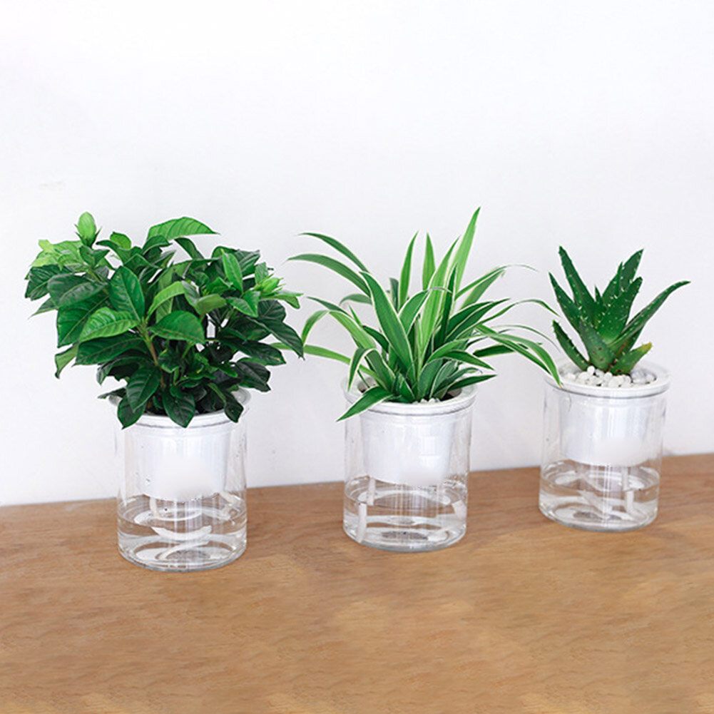 Terylin Clear Automatic Water Absorption Self Watering Hydroponic Flower Pot Planter