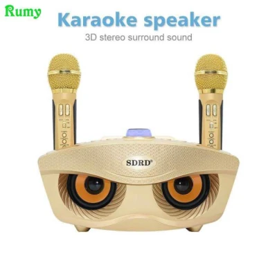 HOT SALE SD 306 Dual Wireless Microphone Bluetooth Speaker Mobile Wireless Karaoke Speaker