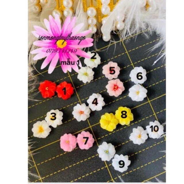 Hoa bột nail gắn móng tay dành cho Nail dễ thương