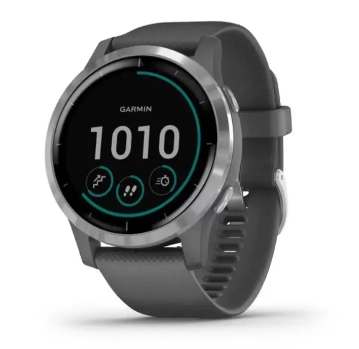 vivoactive 4 2019