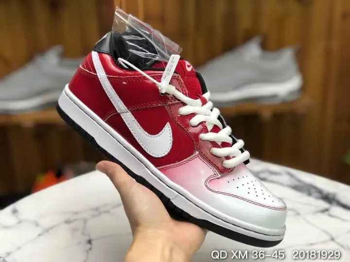 nike sb dunk low on feet