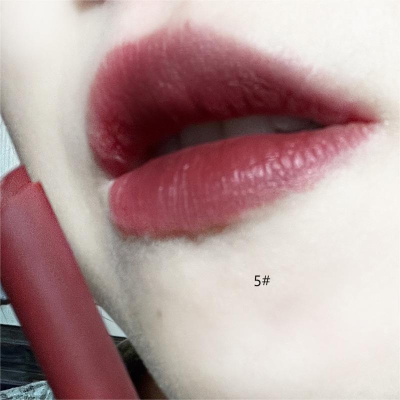 Herorange 6 Colors Matte Velvet Lipstick Waterproof Long Lasting Moisturising Liquid Lip Gloss Liptint Makeup Cosmetic Fine Tube Lipstick